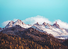 开云官方网站：以信任与美学连接你的世界